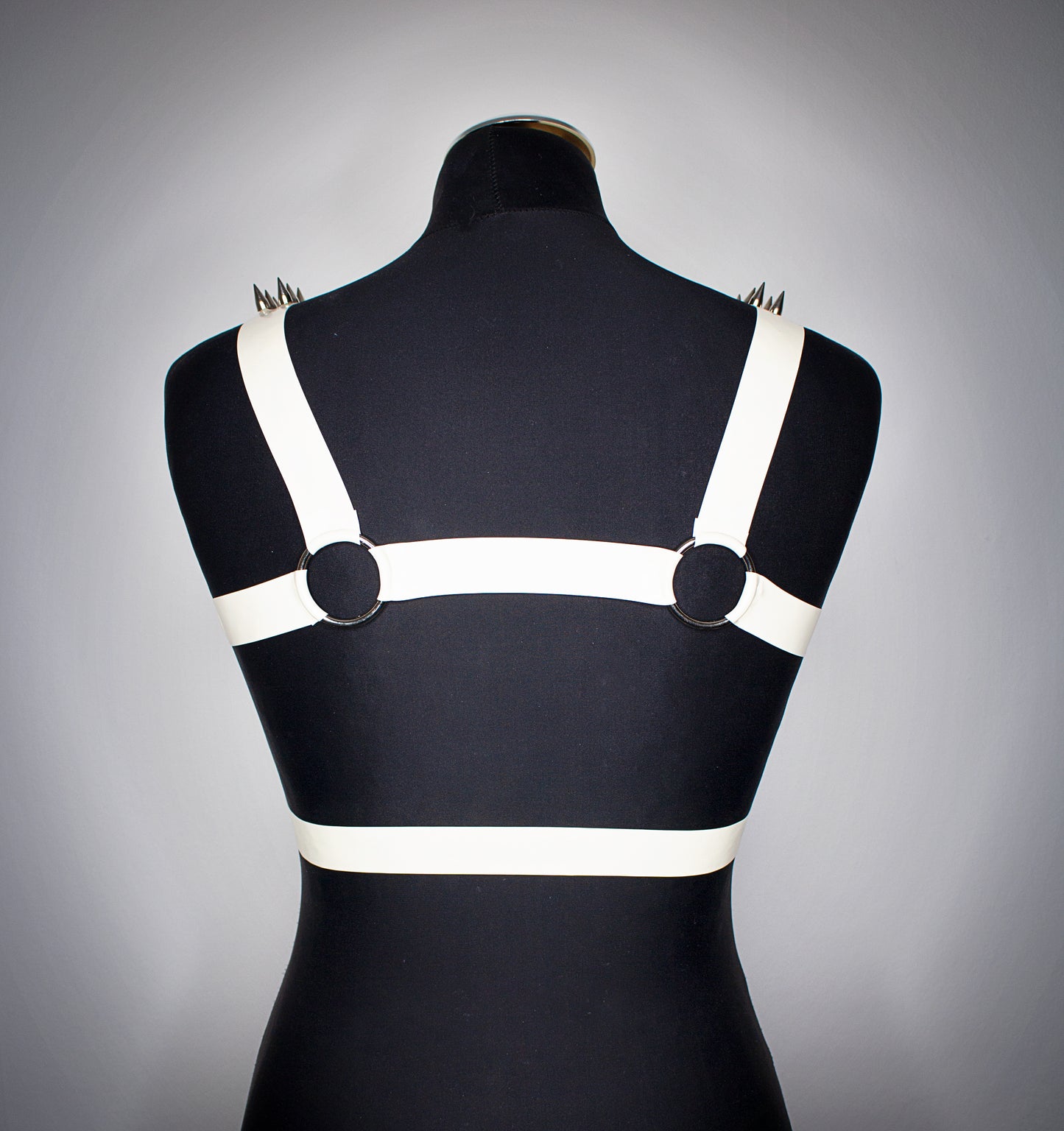 "CVRSE" Harness
