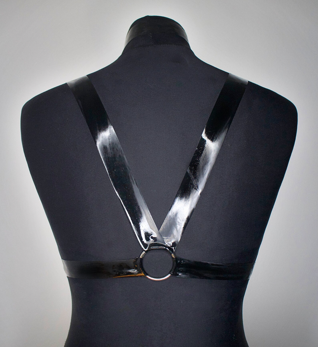 "KINGSLAYER" Harness