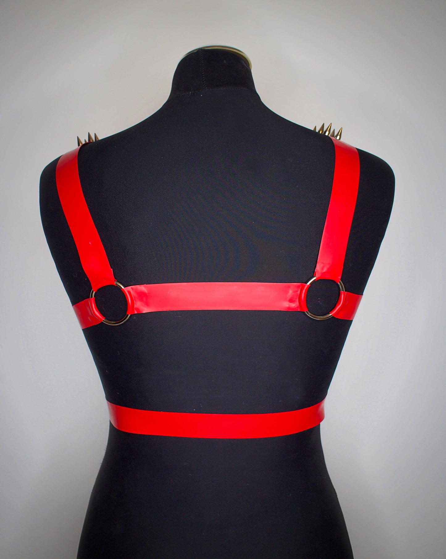 "DIABLO" Harness