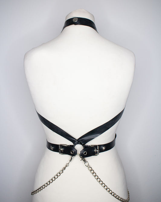 "STARDVST" Harness