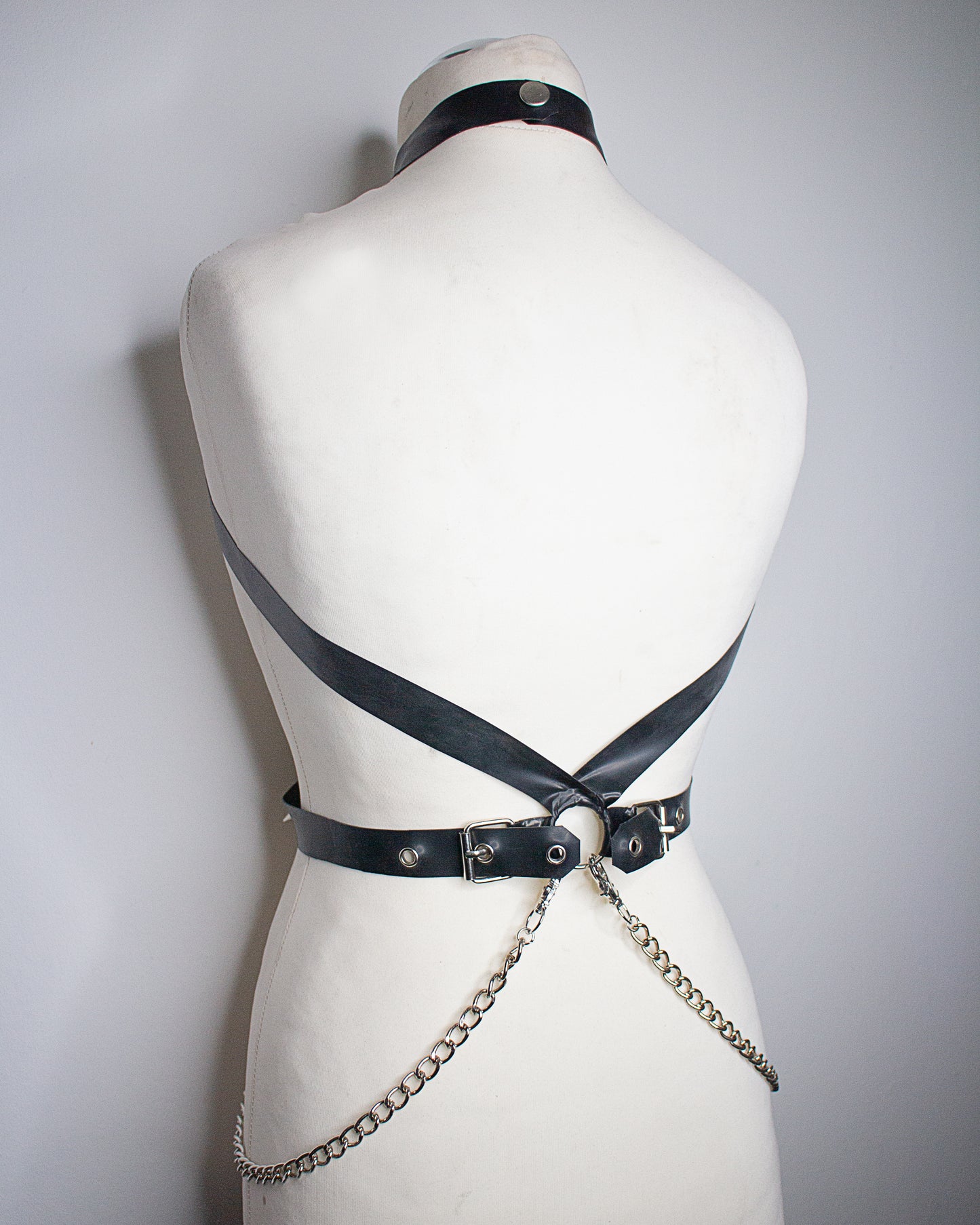"STARDVST" Harness