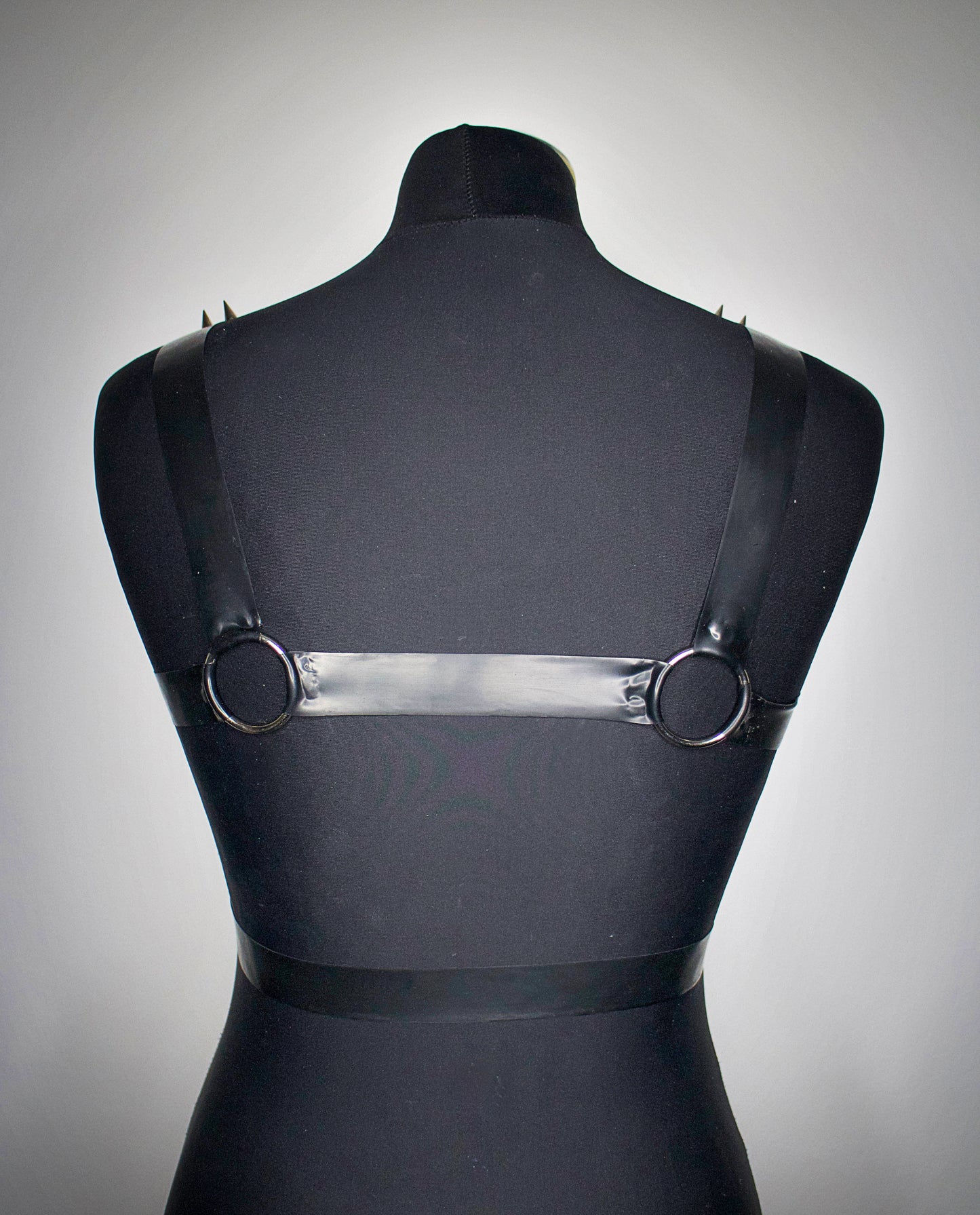 "REIGN" Harness